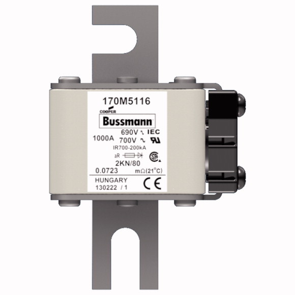 170M5116 Быстрый предохранитель 1000A 690V 2KN/80 AR UC
