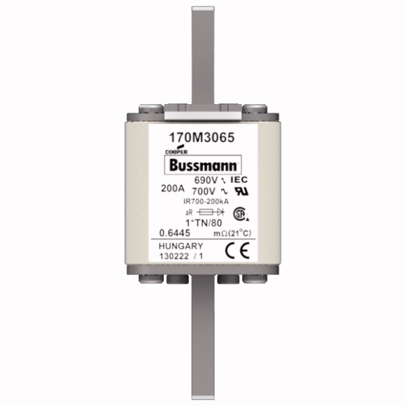 170M3065 Быстрый предохранитель 200A 690V 1*TN/80 AR UC