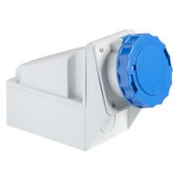 Schneider Electric 81190 НАСТЕН РОЗЕТКА ВИНТ 125А 2P+E IP67 220В