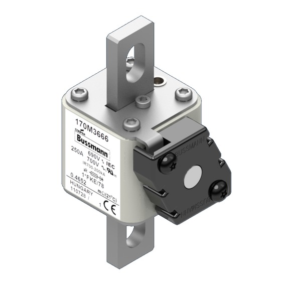 170M3666 Быстрый предохранитель 250A 690V 1*FKE/78 AR UC