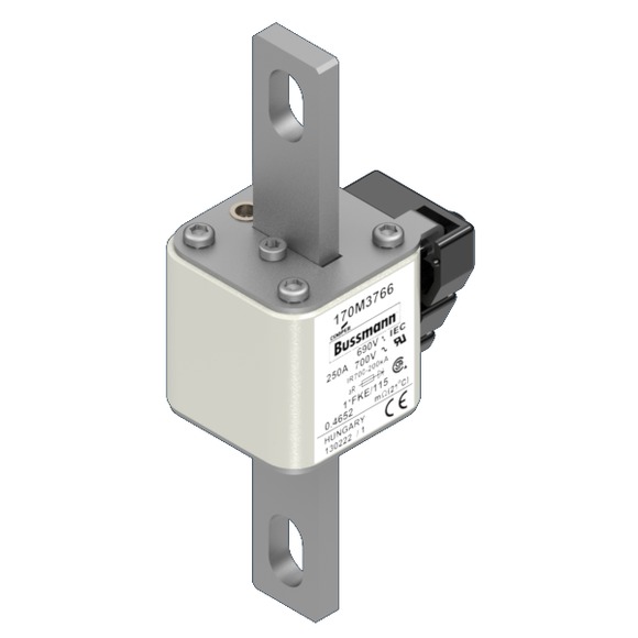170M3766 Быстрый предохранитель 250A 690V 1*FKE/115 AR UC