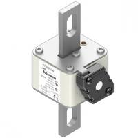 170M5761 Быстрый предохранитель 550A 690V 2FKE/115 AR UC