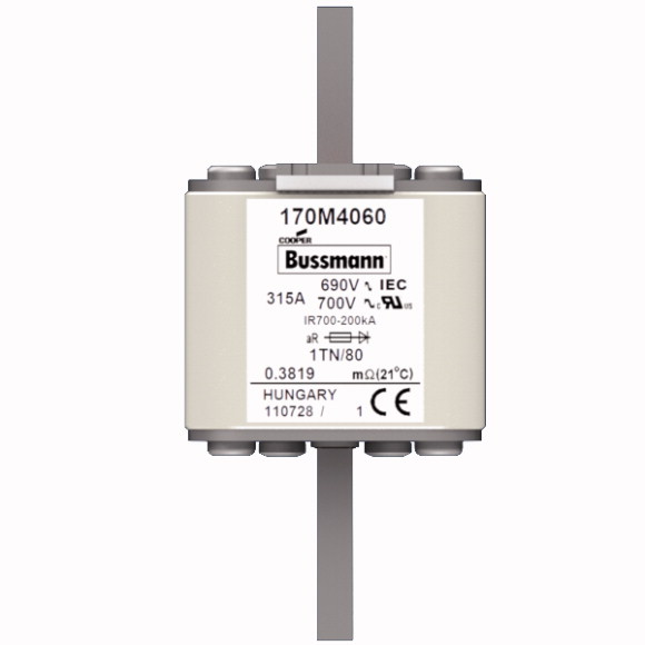 170M4060 Быстрый предохранитель 315A 690V 1TN/80 AR UC