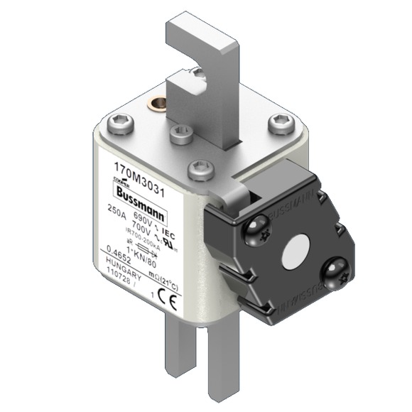 170M3031 Быстрый предохранитель 250A 690V 1*KN/80 AR