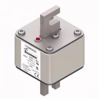 170M5009 Быстрый предохранитель 450A 690V 2/80 AR UC