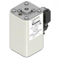 170M3445 Быстрый предохранитель 250A 1250V 1*BKN/80 AR CU