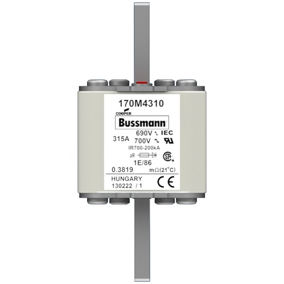170M4310 Быстрый предохранитель 315A 690V 1E/86 AR UC