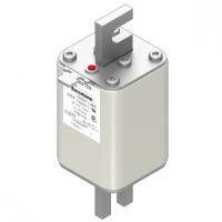170M4189 Быстрый предохранитель 200A 1250V 1TN/110 AR CU