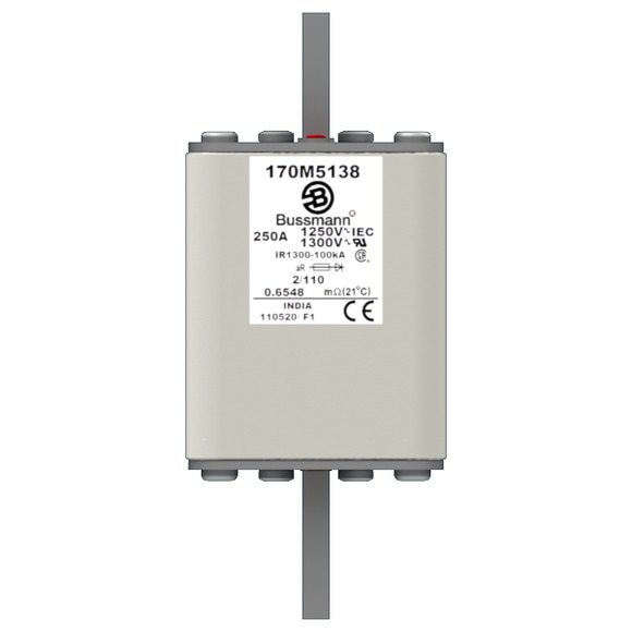 170M5138 Быстрый предохранитель 250A 1250V 2/110 AR CU