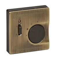 Schneider Electric MTN539743 ЦЕНТР.ПЛАТА ТЕРМОРЕГ-РА, АНТИЧ. ЛАТУНЬ