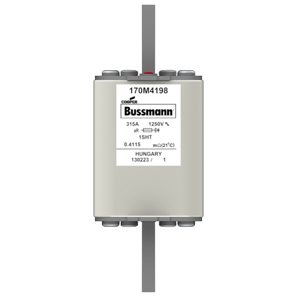 170M4198 Быстрый предохранитель 315A 1250V 1SHT AR