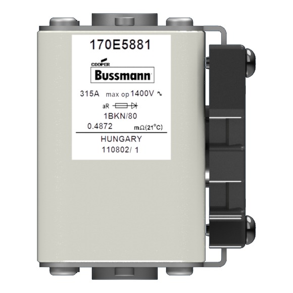170E5881 Быстрый предохранитель 315A 1400V 1BKN/80 AR