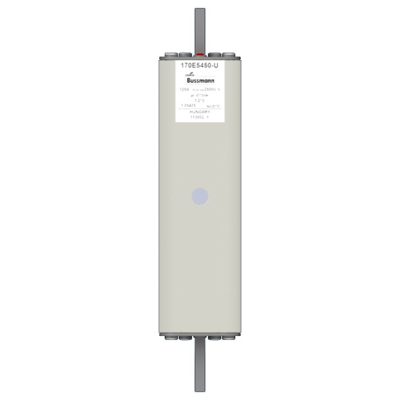 170E5450-U Быстрый предохранитель 125A 2500V 1/210 AR