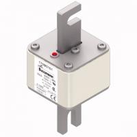 170M5161 Быстрый предохранитель 550A 690V 2/110 AR UC