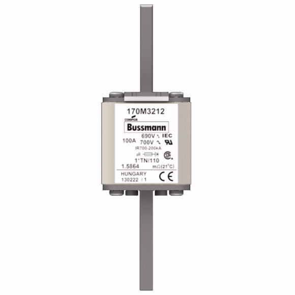 170M3212 Быстрый предохранитель 100A 690V 1*TN/110 AR UC