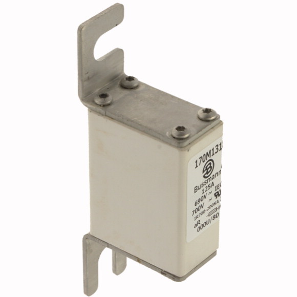 170M1319 Быстрый предохранитель 160A 690V 000U/80 AR UC