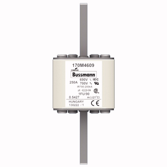 170M4609 Быстрый предохранитель 250A 690V 1FU/90 AR UC