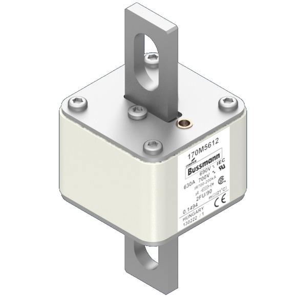 170M5612 Быстрый предохранитель 630A 690V 2FU/90 AR UC
