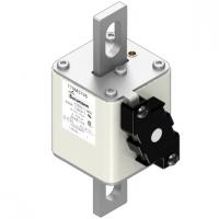 170M5746 Быстрый предохранитель 630A 1250V 2FKE/115 AR CU
