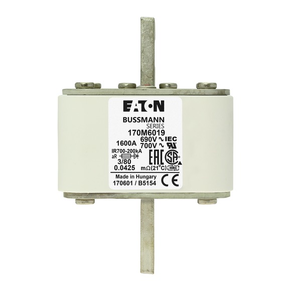 170M6019 Быстрый предохранитель 1600A 690V 3/80 AR UC
