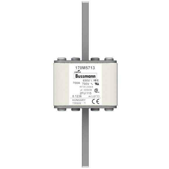 170M5713 Быстрый предохранитель 700A 690V 2FU/115 AR UC