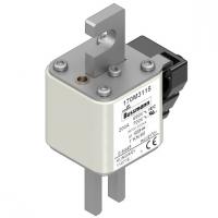 170M3030 Быстрый предохранитель 200A 690V 1*KN/80 AR