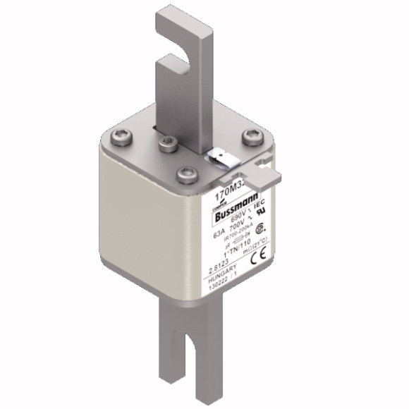170M3210 Быстрый предохранитель 63A 690V 1*TN/110 AR UC