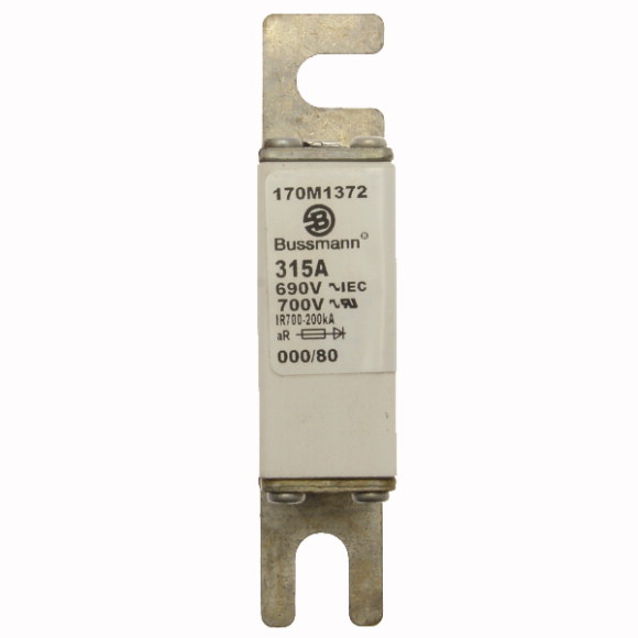 170M1372 Быстрый предохранитель 315A 690V 000/80 AR UC