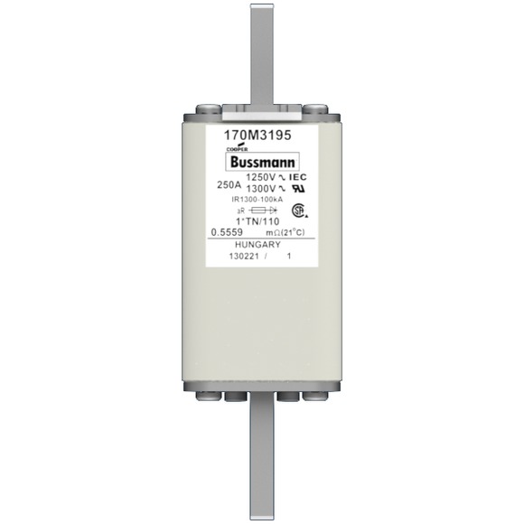 170M3195 Быстрый предохранитель 250A 1250V 1*TN/110 AR CU