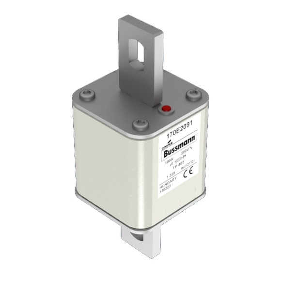 170E2091 Быстрый предохранитель 100A 500V TP 405 AR