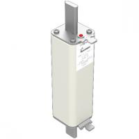 170E4470 Быстрый предохранитель 100A 1600V 1*STN/175 AR