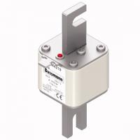 170M4219 Быстрый предохранитель 900A 550V 1TN/110 AR