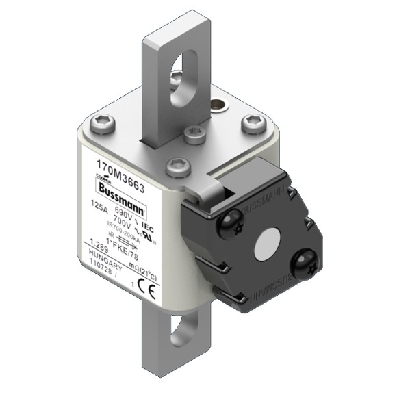 170M3663 Быстрый предохранитель 125A 690V 1*FKE/78 AR UC
