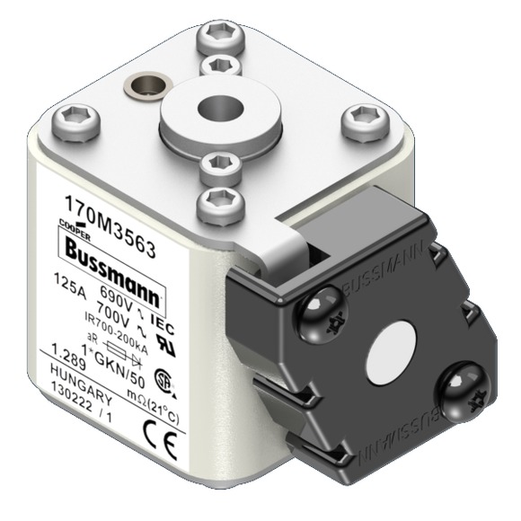 170M3563 Быстрый предохранитель 125A 690V 1*GKN/50 AR UC