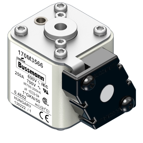 170M3566 Быстрый предохранитель 250A 690V 1*GKN/50 AR UC