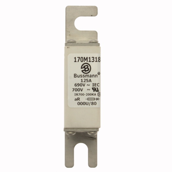 170M1319 Быстрый предохранитель 160A 690V 000U/80 AR UC