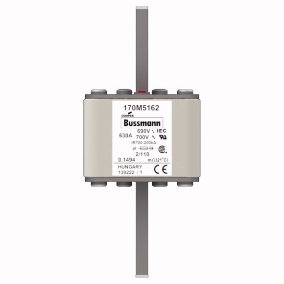 170M5162 Быстрый предохранитель 630A 690V 2/110 AR UC