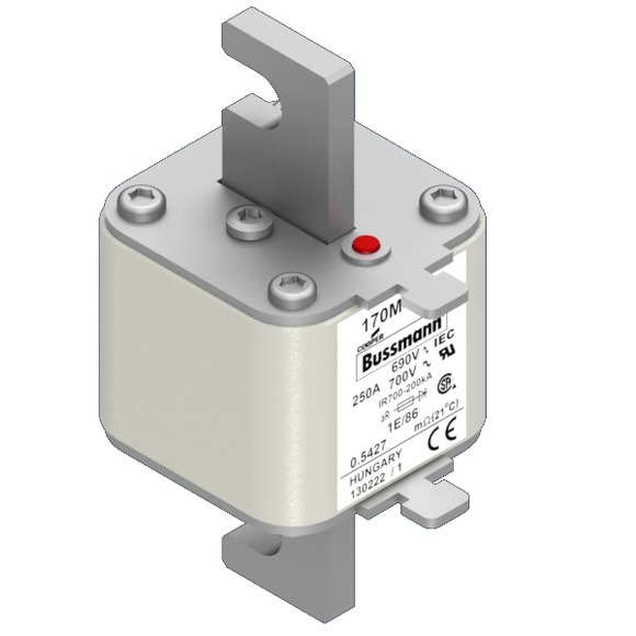 170M4309 Быстрый предохранитель 250A 690V 1E/86 AR UC