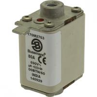 170M2763 Быстрый предохранитель 80A 690V 00BTN/60 GR