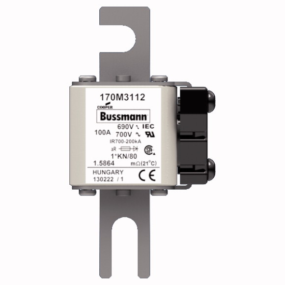 170M3112 Быстрый предохранитель 100A 690V 1*KN/80 AR UC