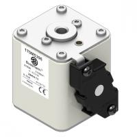 170M5396 Быстрый предохранитель 630A 1100V 2BKN/75 AR