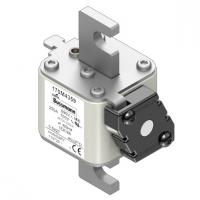 170M4359 Быстрый предохранитель 250A 690V 1EK/86 AR UC