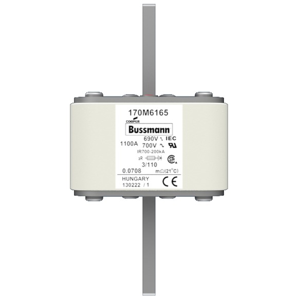 170M6165 Быстрый предохранитель 1100A 690V 3/110 AR UC