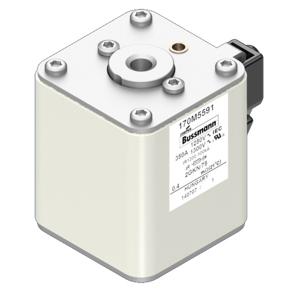 170M5591 Быстрый предохранитель 350A 1250V 2GKN/75 AR CU
