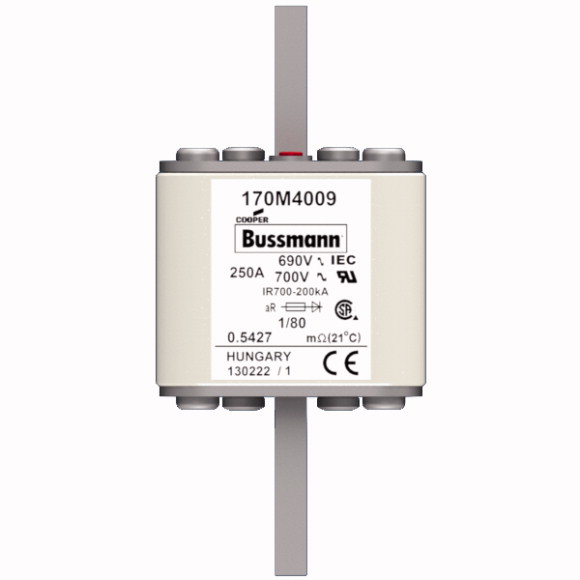 170M4009 Быстрый предохранитель 250A 690V 1/80 AR UC