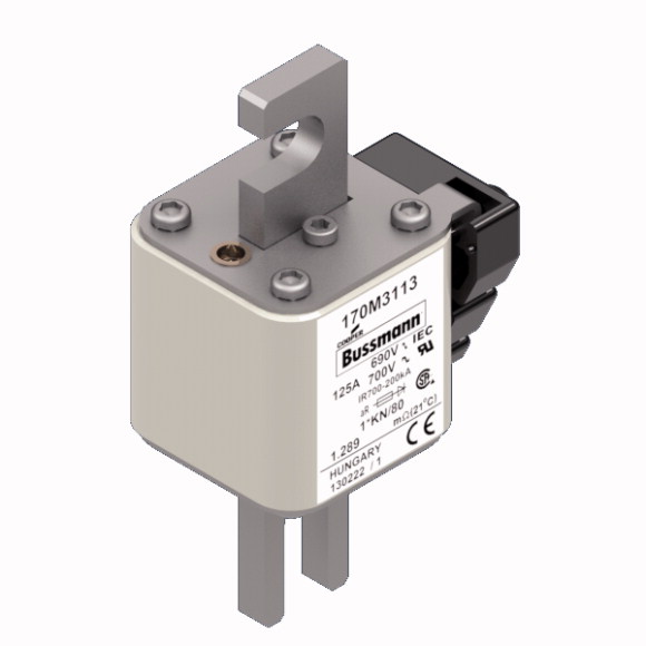 170M3113 Быстрый предохранитель 125A 690V 1*KN/80 AR UC