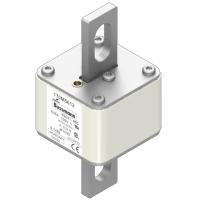 170M5612 Быстрый предохранитель 630A 690V 2FU/90 AR UC