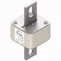 170M6710 Быстрый предохранитель 630A 690V 3FU/115 AR UC