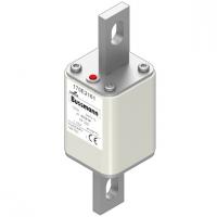 170E2161 Быстрый предохранитель 100A 500V TP 205 AR