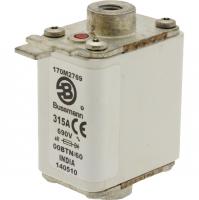 170M2769 Быстрый предохранитель 315A 690V 00BTN/60 AR